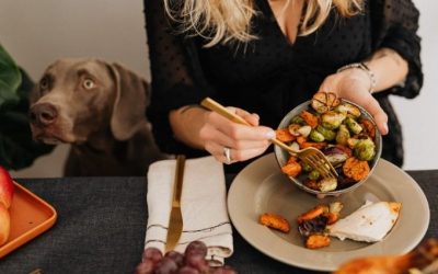 Why Schenectady Pet Owners Trust pup-e-cise LLC