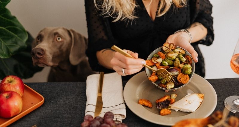 a dog at Thanksgiving a dog at Thanksgiving.