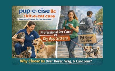 Why Choosing a Professional Pet Care Service Matters More Than You Think